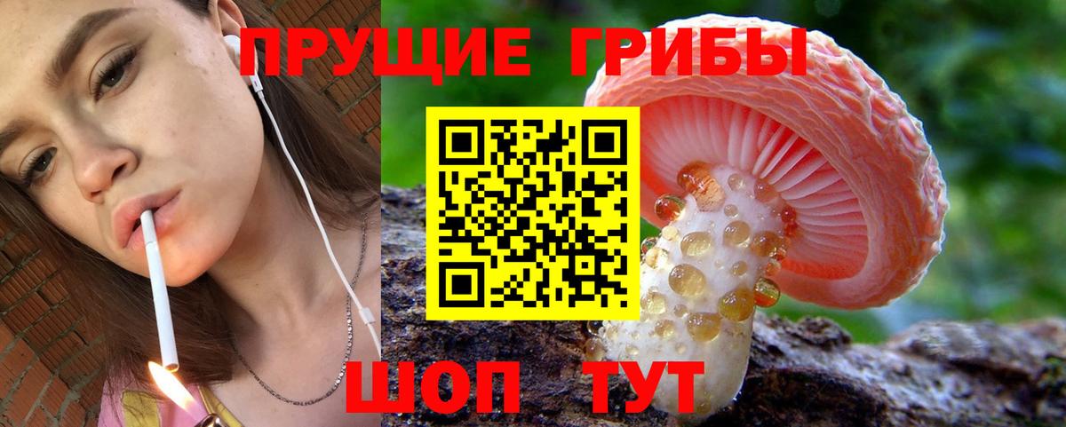 Галлюциногенные грибы MAGIC MUSHROOMS  Псилоцибиновые грибы Psilocybine cubensis  Бузулук  Вход с VPN 